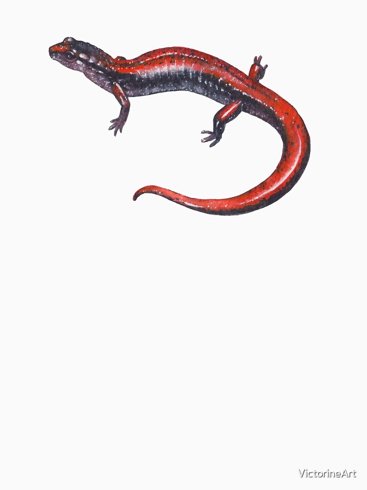 black salamander t shirts