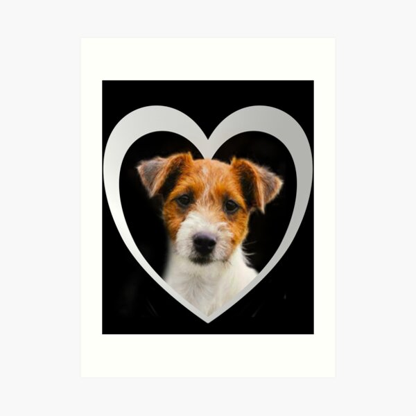 Impressions Artistiques Sur Le Theme Jack Russel Terrier Redbubble