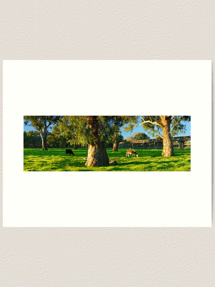 Thumbnail 1 of 3, Art Print, Gundagai Trestle Bridge, New South Wales, Australia designed and sold by Chockstone.