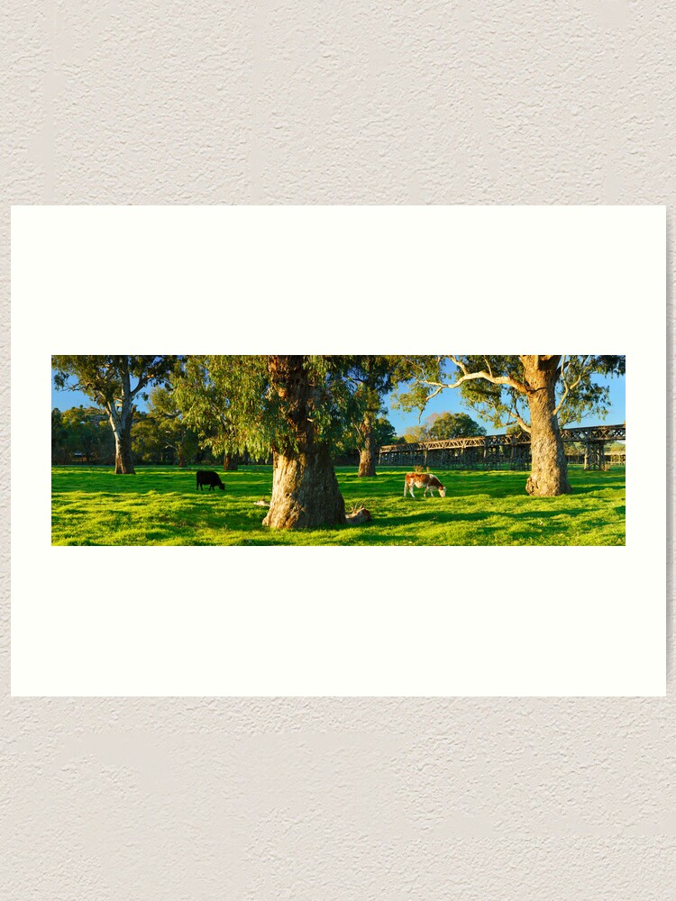 Thumbnail 1 of 3, Art Print, Gundagai Trestle Bridge, New South Wales, Australia designed and sold by Chockstone.