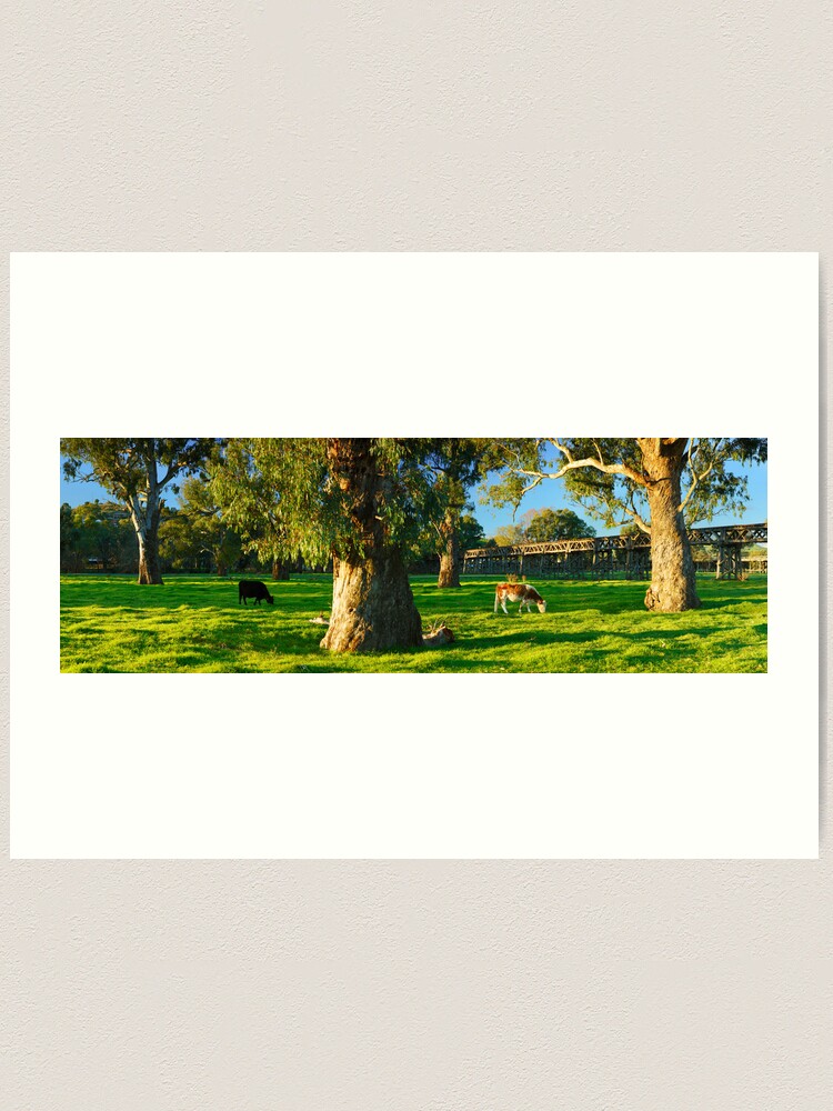 Thumbnail 1 of 3, Art Print, Gundagai Trestle Bridge, New South Wales, Australia designed and sold by Chockstone.