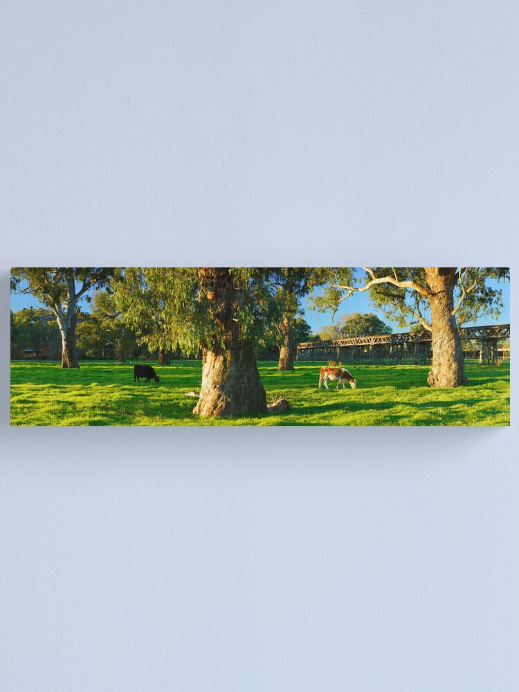 Thumbnail 1 of 3, Canvas Print, Gundagai Trestle Bridge, New South Wales, Australia designed and sold by Chockstone.