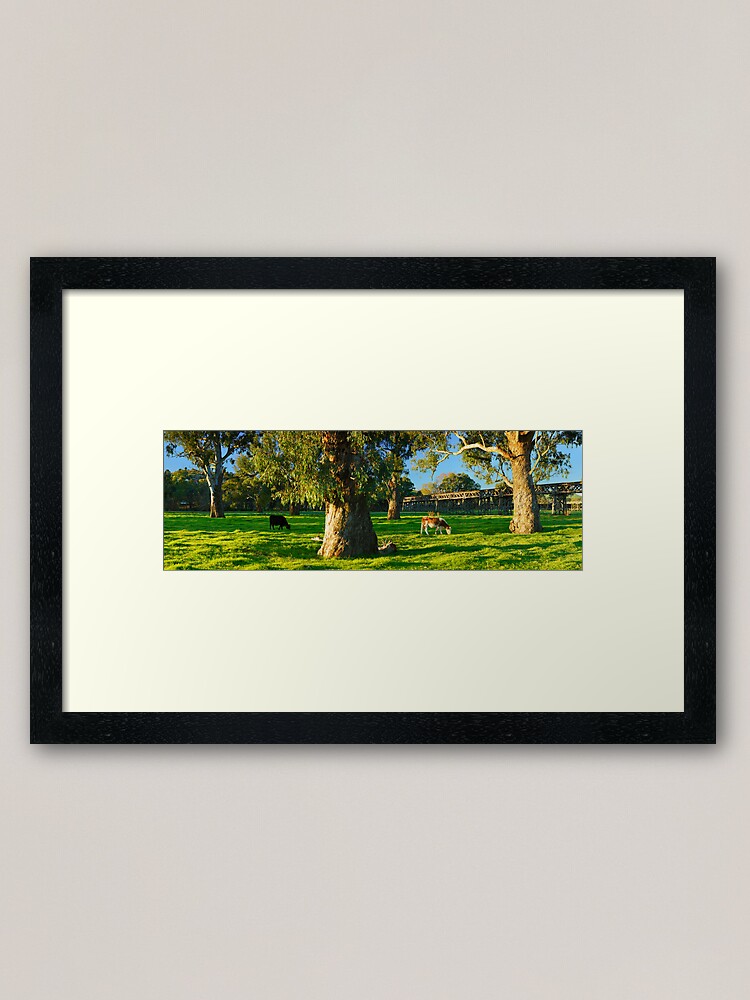 Thumbnail 1 of 7, Framed Art Print, Gundagai Trestle Bridge, New South Wales, Australia designed and sold by Chockstone.