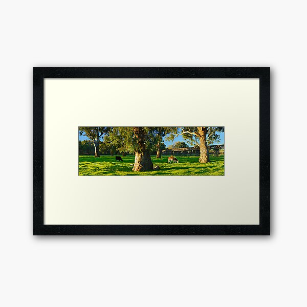 Framed Art Print