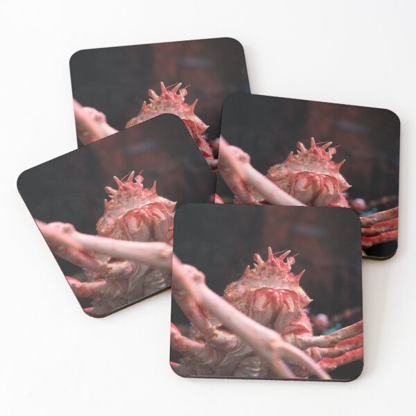 Item preview, Japanese Spider Crab Looks Menacingly At You designed and sold by AmberCamera.
