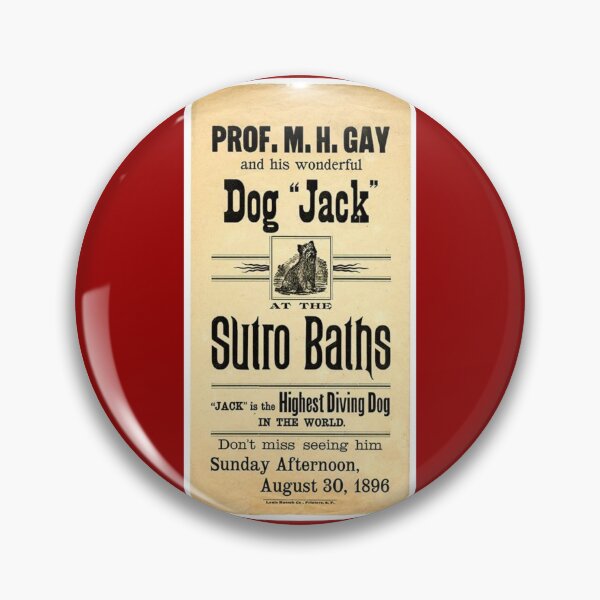 Item preview, Professor Gay and His Wonderful Dog Jack designed and sold by Wyman Brent.