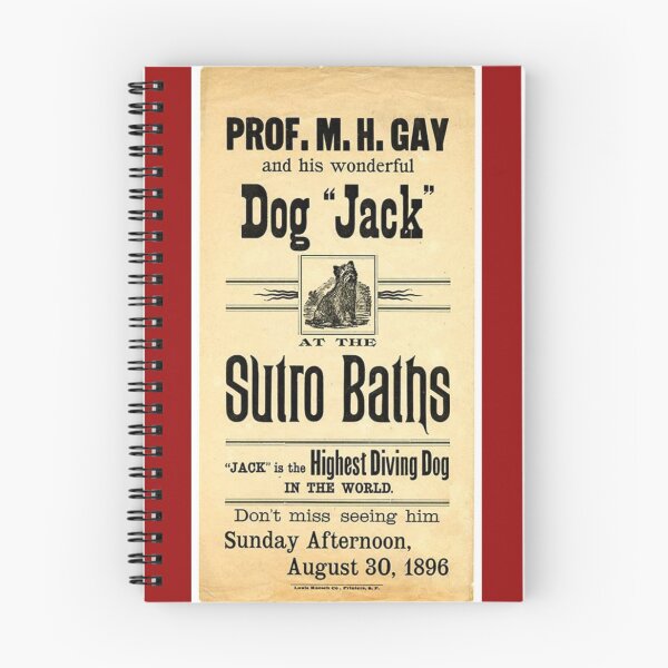 Item preview, Professor Gay and His Wonderful Dog Jack designed and sold by Wyman Brent.