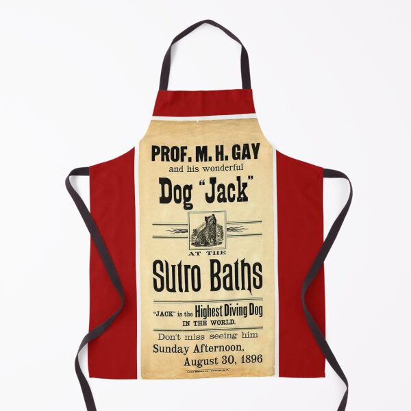 Item preview, Professor Gay and His Wonderful Dog Jack designed and sold by Wyman Brent.