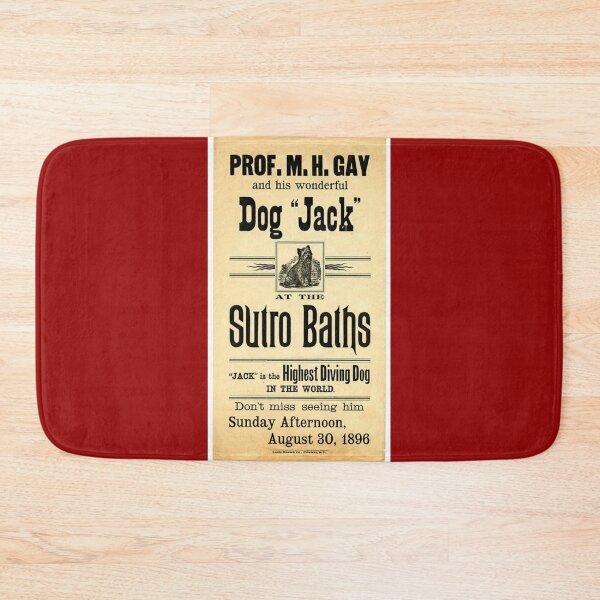 Item preview, Professor Gay and His Wonderful Dog Jack designed and sold by Wyman Brent.