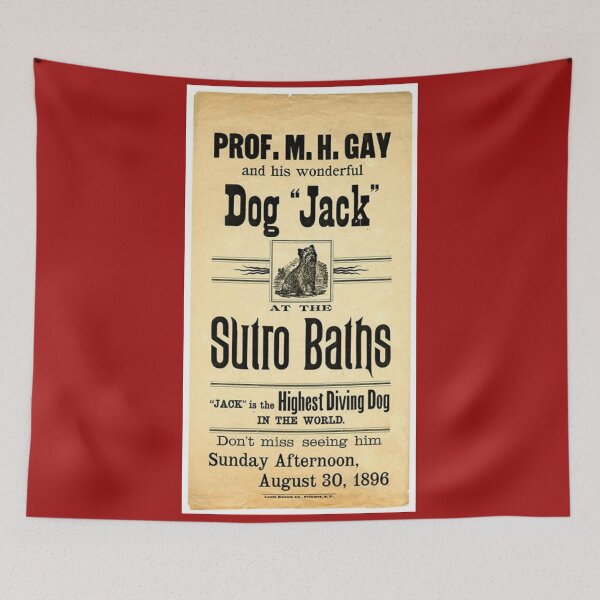 Item preview, Professor Gay and His Wonderful Dog Jack designed and sold by Wyman Brent.