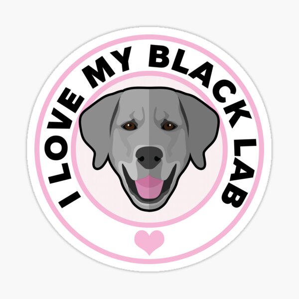 sticker pet animal breed puppy yellow chocolate I love my LAB dog heart decal 