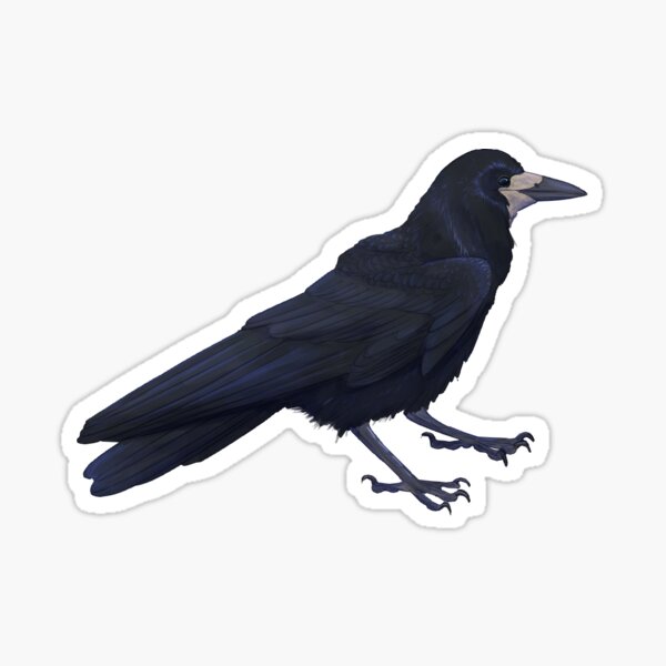 Item preview, Rook designed and sold by covin.