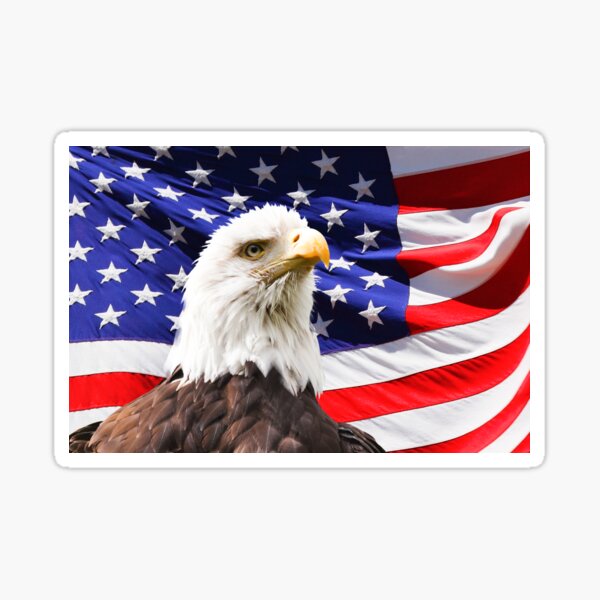 American Eagle and American Flag Photograph Sticker