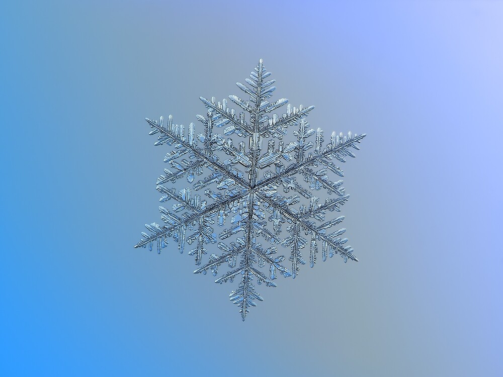 Real Snowflake Real Snowflake