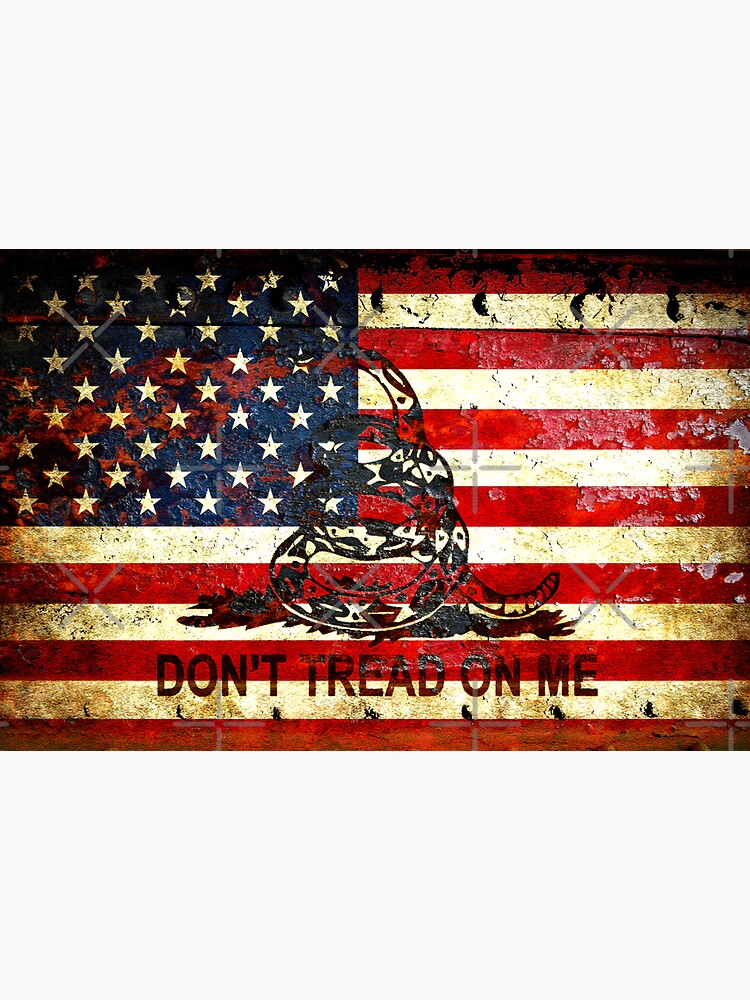 American Flag And Viper On Rusted Metal Door - Don't Tread On Me by MolonLabeArt