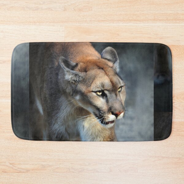 Item preview, Intense Cougar designed and sold by Savannah Gibbs.