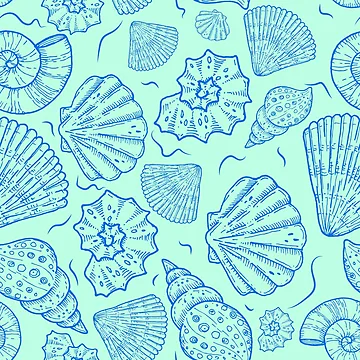Artwork thumbnail, Shell Life by archana aravind