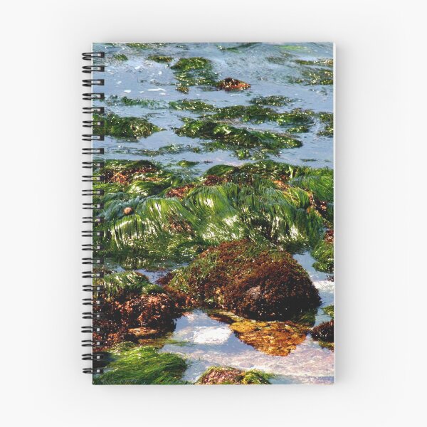 Item preview, Seaweed reunion designed and sold by Martha Burns.