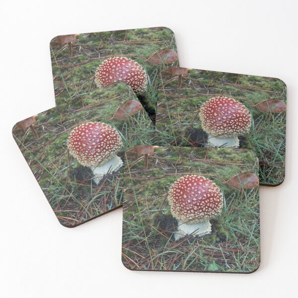 Item preview, Fly Agaric (Amanita muscaria) mushroom designed and sold by Willscape.