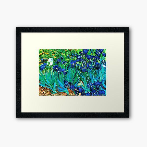 Framed Art Print
