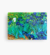 Van Gogh Garden Irises HDR Metal Print