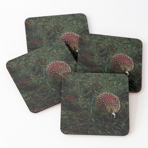 Item preview, Fly Agaric (Amanita muscaria) mushroom designed and sold by Willscape.