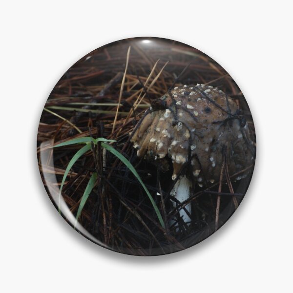 Item preview, decaying Fly Agaric (Amanita muscaria) mushroom designed and sold by Willscape.