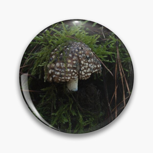 Item preview, Decaying Fly Agaric (Amanita muscaria) mushroom designed and sold by Willscape.
