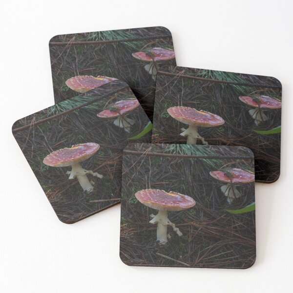 Item preview, Fly Agaric (Amanita muscaria) mushroom designed and sold by Willscape.