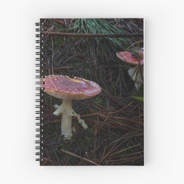 Item preview, Fly Agaric (Amanita muscaria) mushroom designed and sold by Willscape.