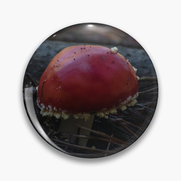 Item preview, Fly Agaric (Amanita muscaria) mushroom designed and sold by Willscape.