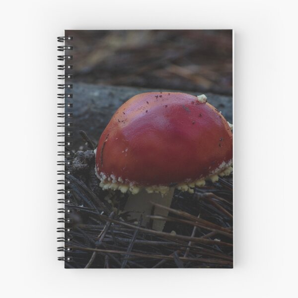 Item preview, Fly Agaric (Amanita muscaria) mushroom designed and sold by Willscape.