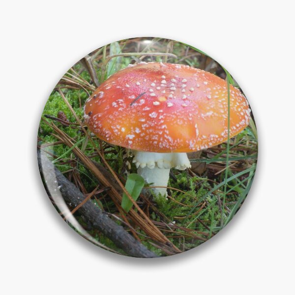 Item preview, Fly Agaric (Amanita muscaria) mushroom designed and sold by Willscape.