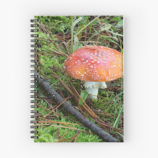 Item preview, Fly Agaric (Amanita muscaria) mushroom designed and sold by Willscape.
