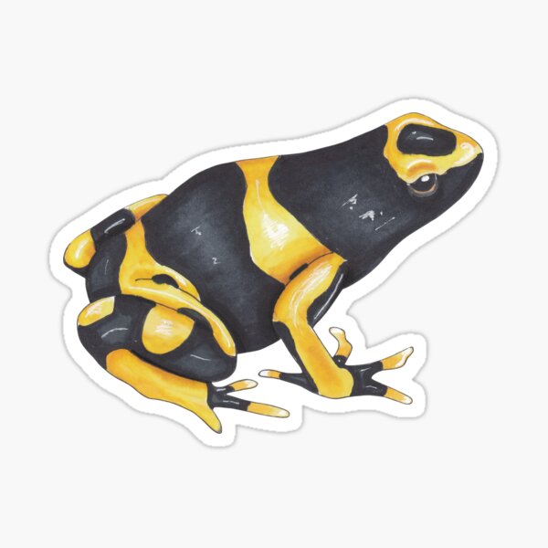 Item preview, Poison Dart Frog designed and sold by NiksyDesign.
