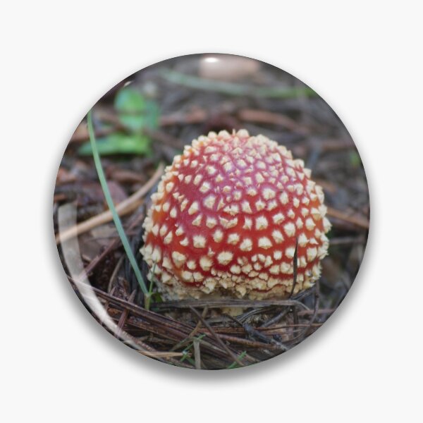Item preview, Fly Agaric (Amanita muscaria) mushroom designed and sold by Willscape.