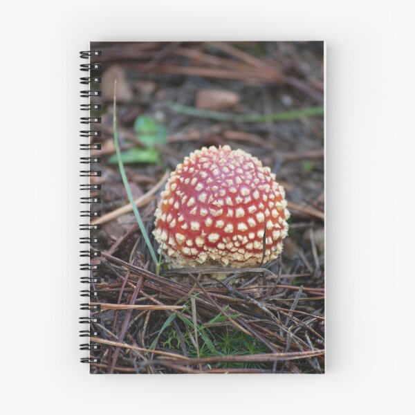 Item preview, Fly Agaric (Amanita muscaria) mushroom designed and sold by Willscape.
