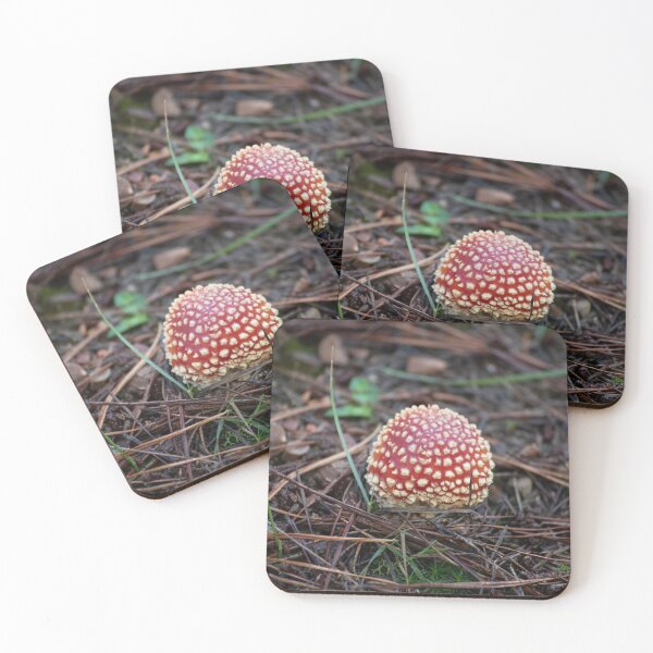 Item preview, Fly Agaric (Amanita muscaria) mushroom designed and sold by Willscape.