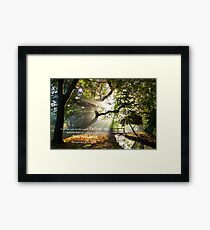 John 8:12 Framed Print