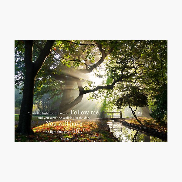 John 8:12 Photographic Print