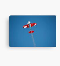 rc airplane Canvas Print