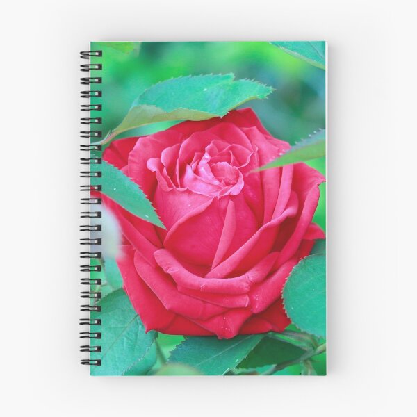 Item preview, Summer Rose designed and sold by Bob Martin.