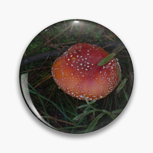 Item preview, Fly Agaric (Amanita muscaria) mushroom designed and sold by Willscape.