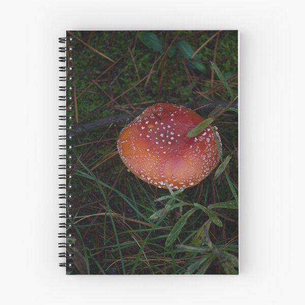Item preview, Fly Agaric (Amanita muscaria) mushroom designed and sold by Willscape.