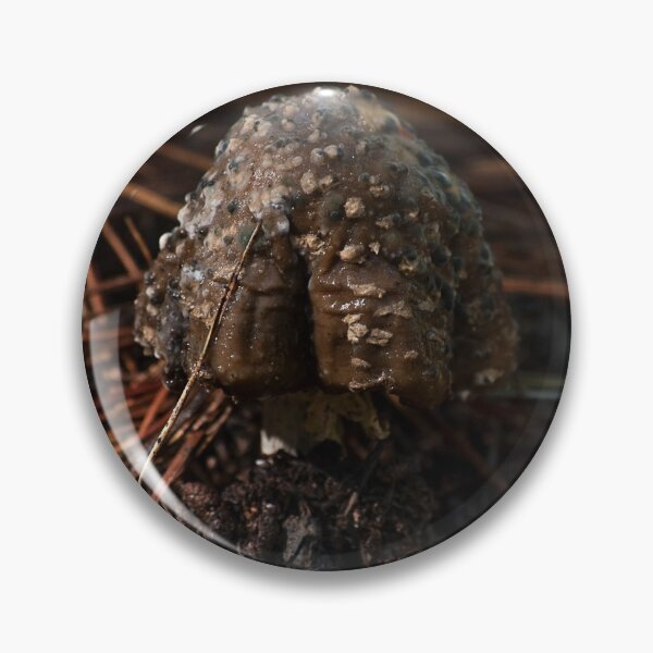 Item preview, decaying Fly Agaric (Amanita muscaria) mushroom designed and sold by Willscape.