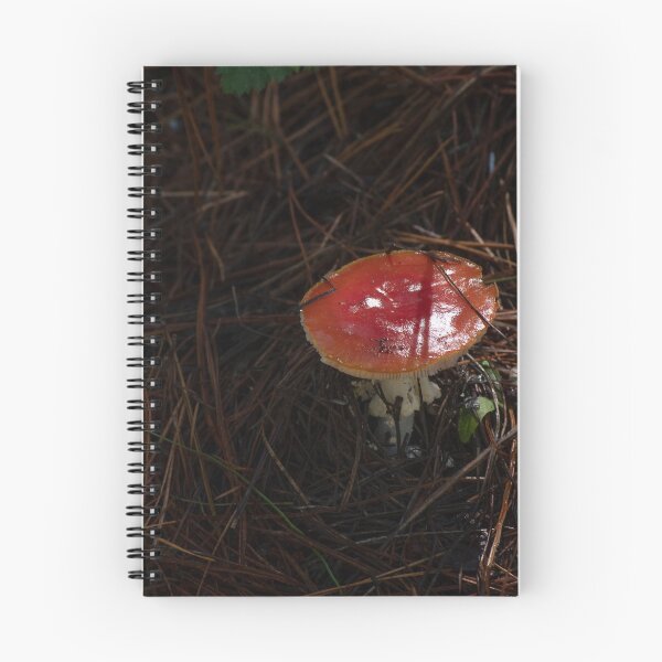 Item preview, Fly Agaric (Amanita muscaria) mushroom designed and sold by Willscape.