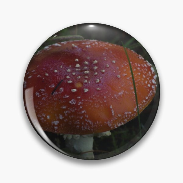 Item preview, Fly Agaric (Amanita muscaria) mushroom designed and sold by Willscape.