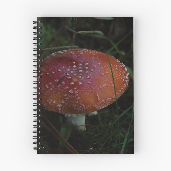 Item preview, Fly Agaric (Amanita muscaria) mushroom designed and sold by Willscape.