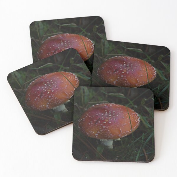 Item preview, Fly Agaric (Amanita muscaria) mushroom designed and sold by Willscape.