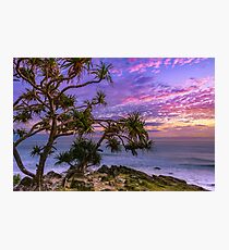 Sunrise and Pandanus Palms Photographic Print